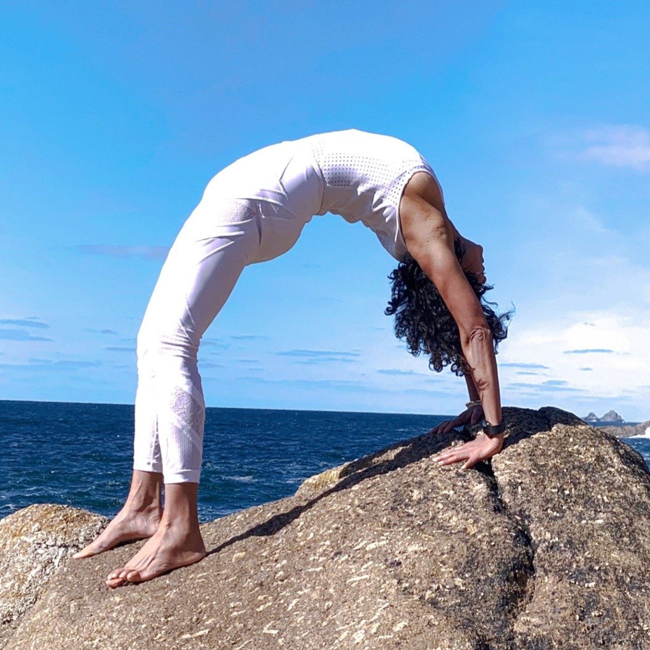 Animal Flow Violet Monis Animal Flow Violet Monis